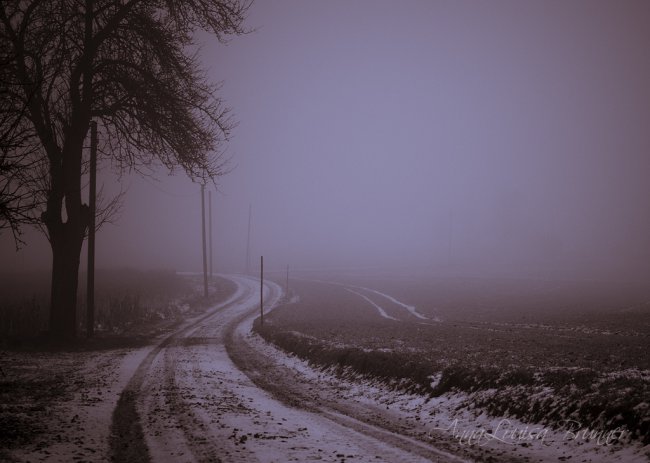 Nebel
