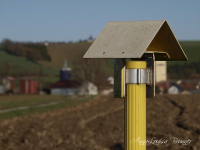 Hauptsache ein Dach über dem Kopf