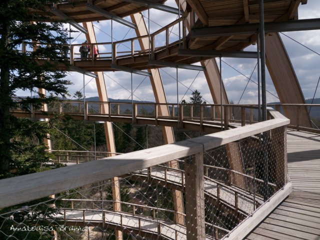 Baumwipfelpfad Neuschönau
