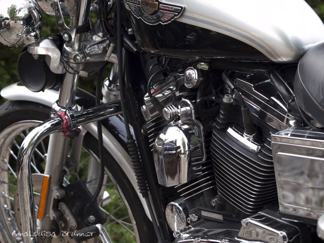 Harley Davidson