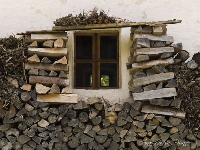 Kaminholz 