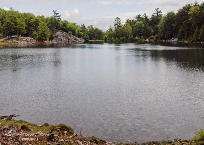 Parc Omega