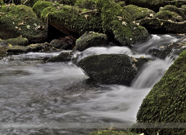 Saussbachklamm