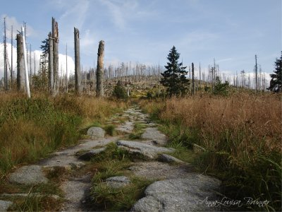 Grenzsteig