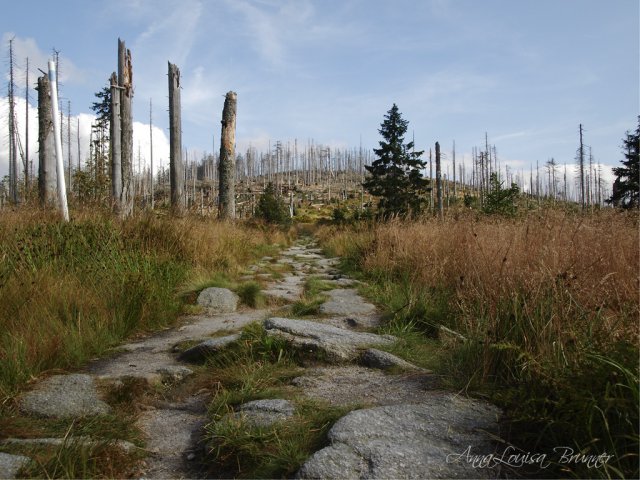 Grenzsteig