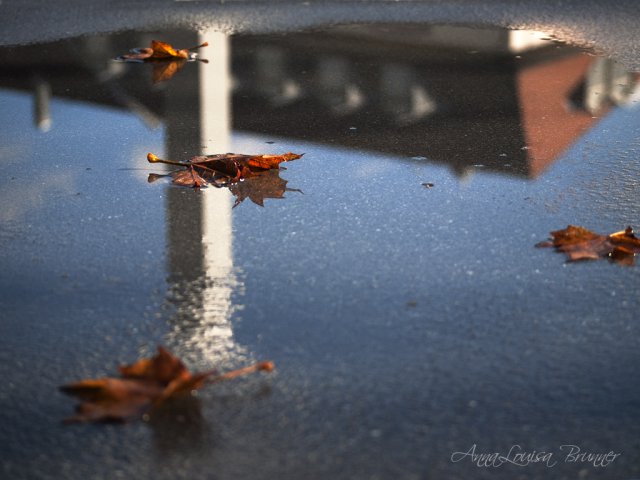 Novembergrau