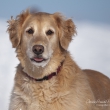 Bounty im Winter