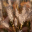 Herbstfarben