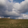 Gewitterwolken?