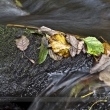 Saussbachklamm Nr.3
