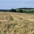 Sommer