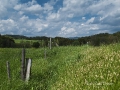 irgendwo