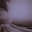 Nebel