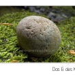 Das Ei des Kolumbus