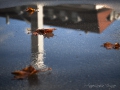 Novembergrau