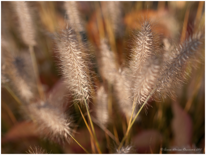Herbstfarben