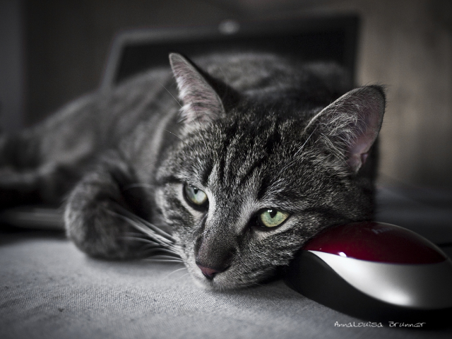Mann, ist das wieder öde heute!