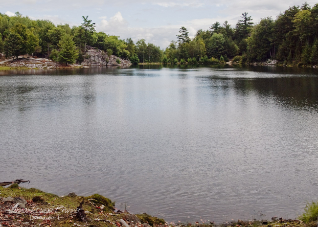 Parc Omega