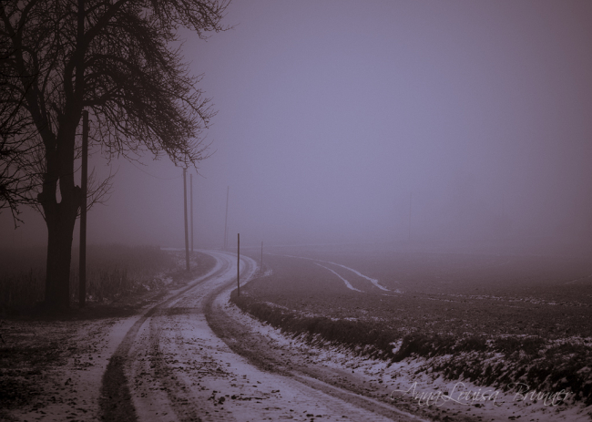 Nebel
