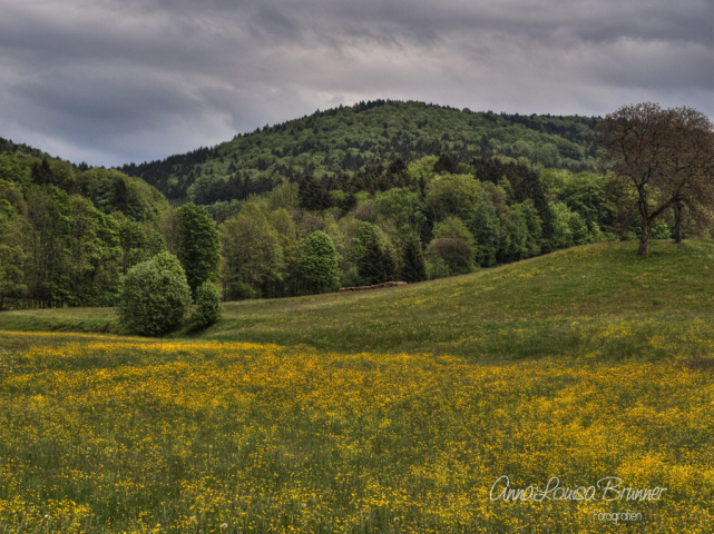 Lallinger Winkel - HDR
